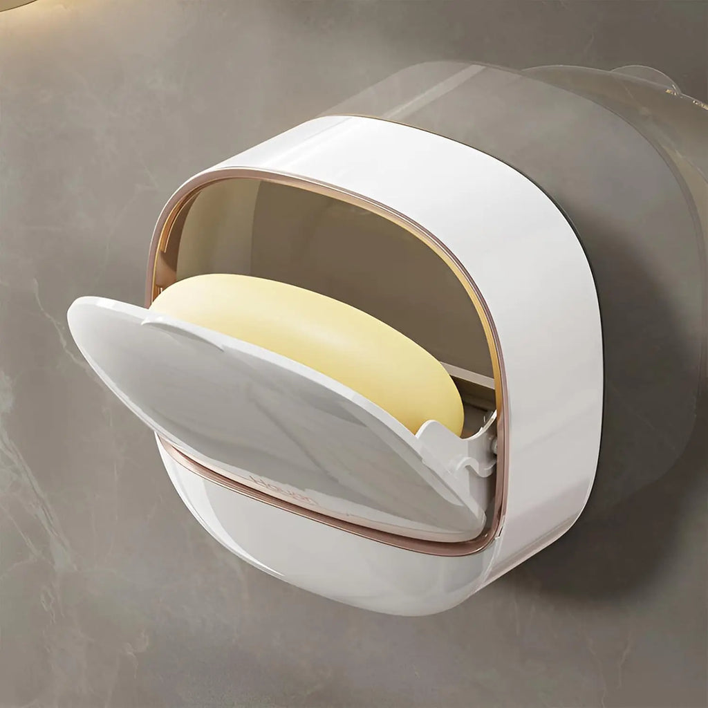 Wall-Mount Draining Soap Dish
